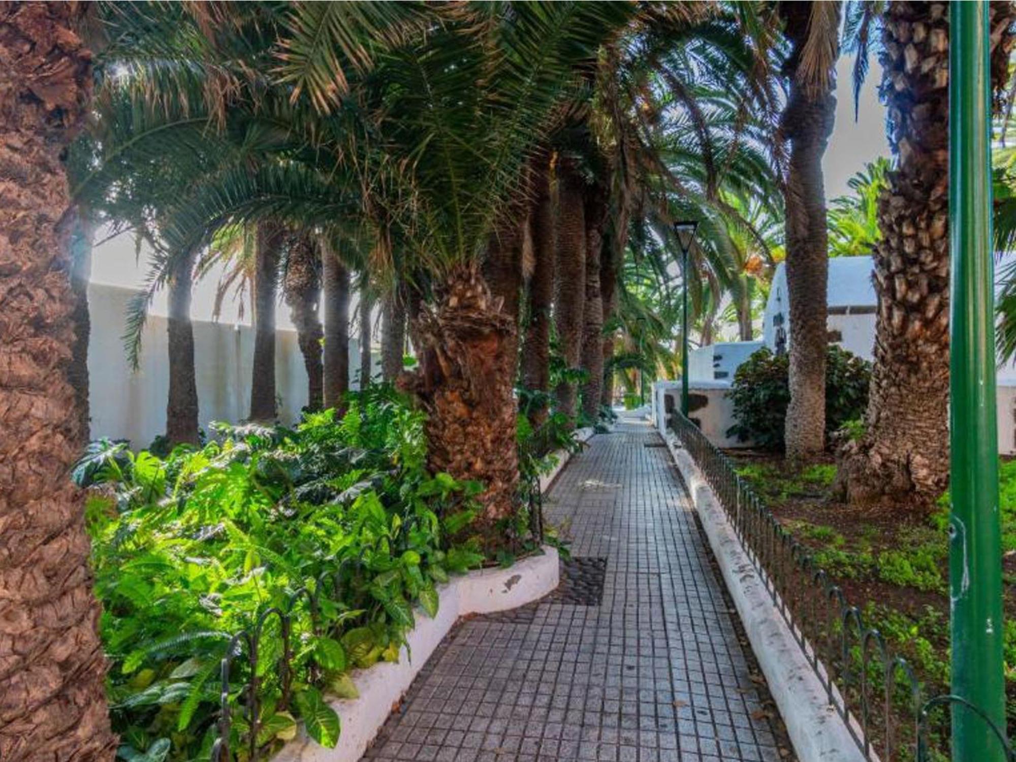 Live Puerto Valle Luz Puerto de la Cruz Kültér fotó